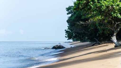 cameroon_about